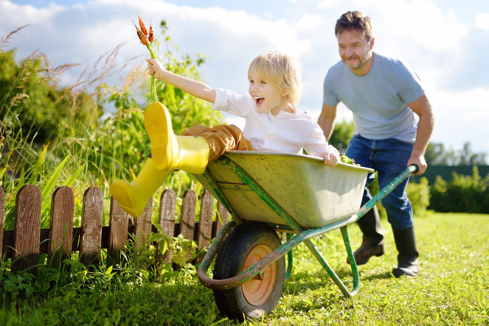 Ein Vater schiebt seinen fröhlichen Sohn in einer Schubkarre durch den Garten, umgeben von grünem Rasen und Pflanzen, unter der möglichen Nähe eines Pavillons für Schatten und Pausen.