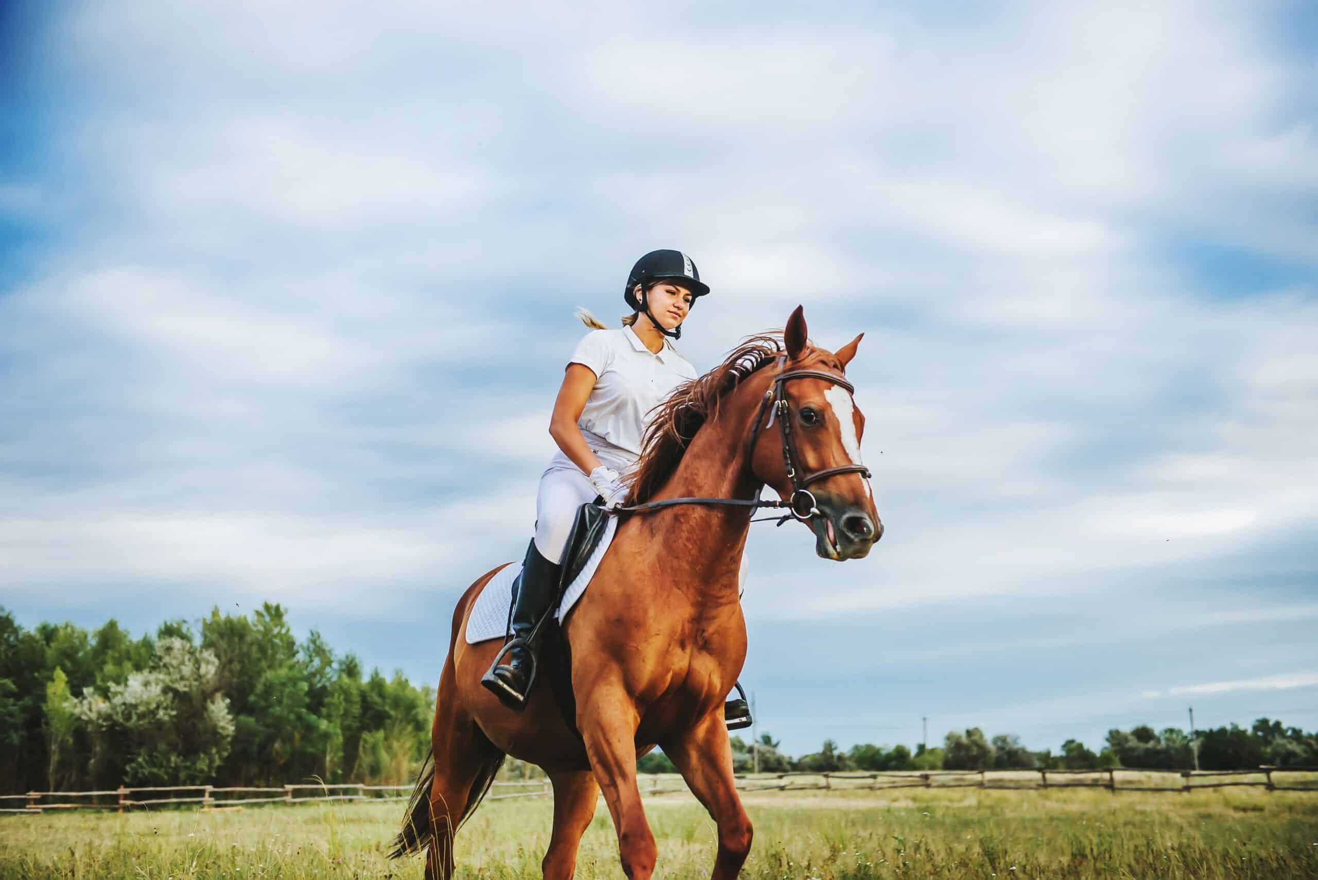 A person rides a horse outside in a large pasture wearing a helmet and appropriate clothing
